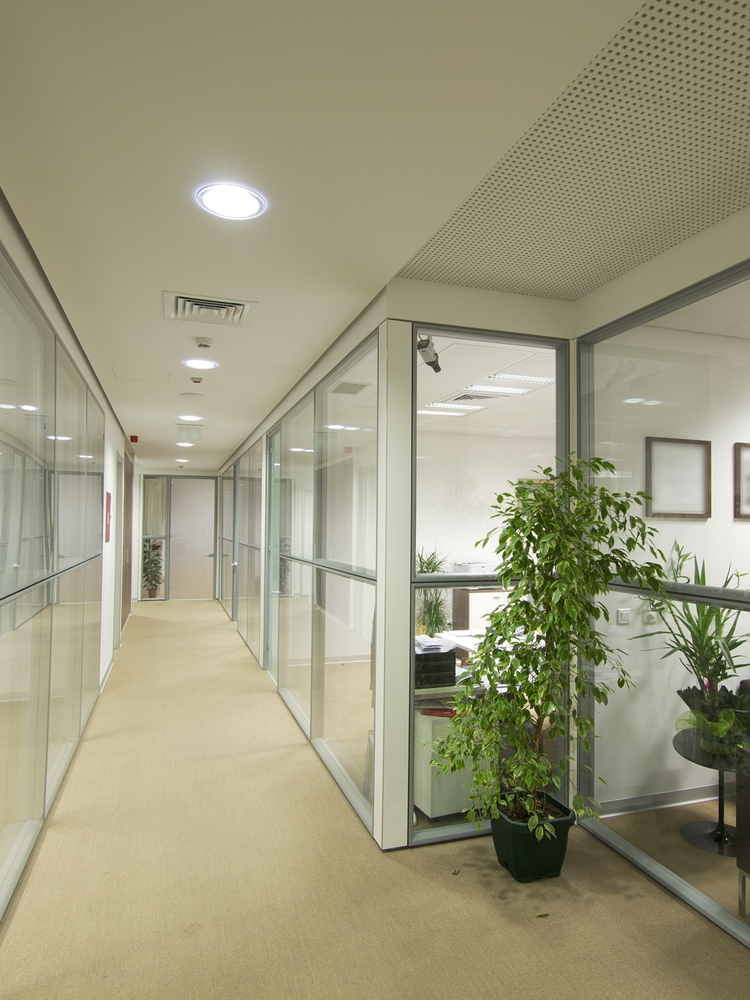 About Barcelona Business Men Services